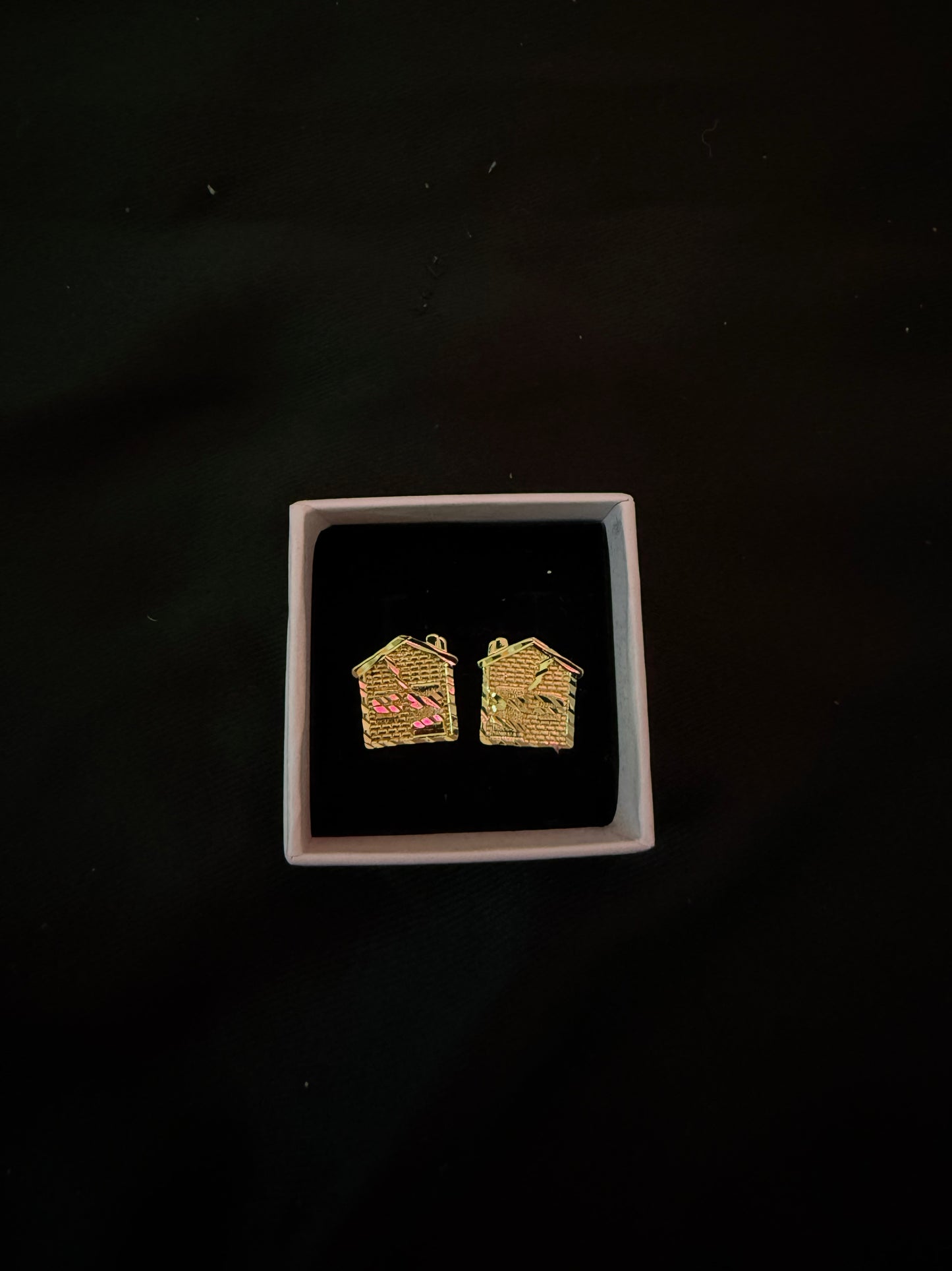 Trap House Earring
